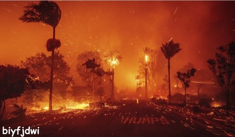 LA fires